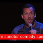 Adam Sandler New Netflix Comedy